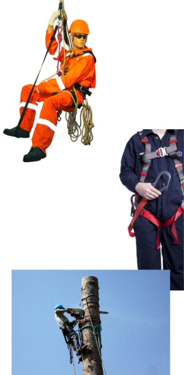 harnais apprenti marcheur